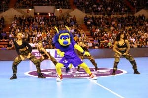 Yoan, DJ animateur micro pour la Ligue Nationale de Handball